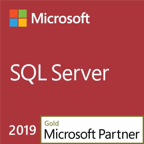SQL Server 2019 CAL (User)