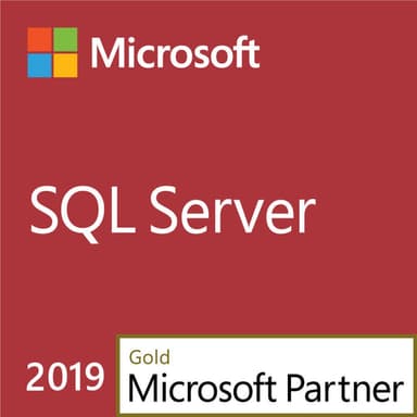 SQL Server 2019 CAL (User)