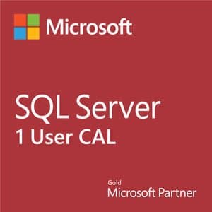 SQL Server 2022 CAL (User)