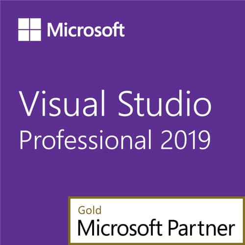 Visual Studio 2019 Professional