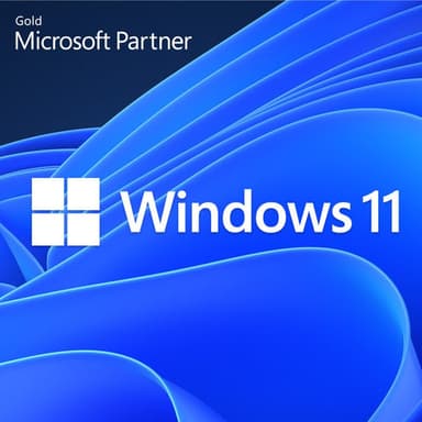 Windows 11 Pro